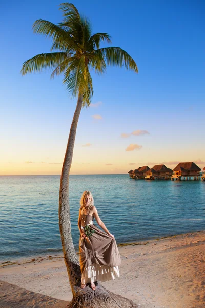 The young beautiful woman with a rose on a palm tree on seacoast — Stock Photo, Image