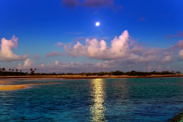 Night. The moon over the sea and reflection in water — Stock Photo, Image