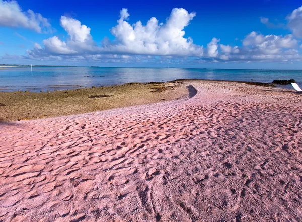 Spiaggia con sabbia rosa — Foto Stock