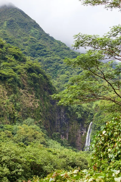 La montaña en una niebla y cae. Polinesia. Tahití — Foto de Stock