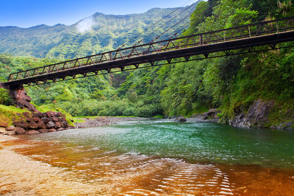 Tahiti. The bridge through the river in mountains