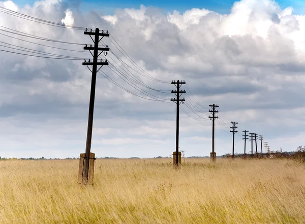 Old wooden poles - the line of electricity transmissions - in the field — Stock Photo, Image