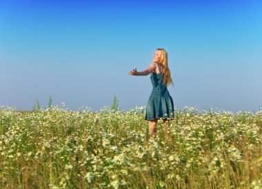 mutlu bir genç kadın, camomiles alanında