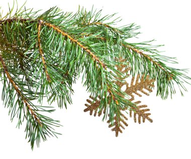 Yeni yıl topları dallar bir Noel ağacı ve hediye