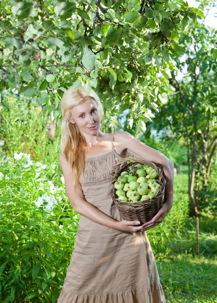 The young attractive woman with a basket of apples in a garden. — Stock Photo, Image