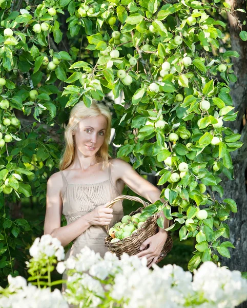 A fiatal, vonzó nő egy alma, egy kert Kosár. — Stock Fotó