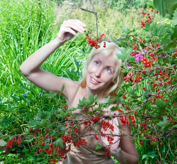 The young beautiful girl near to a bush of a red currant — Stock Photo, Image