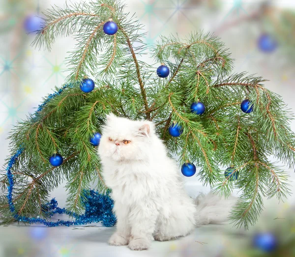 La estampa de Año Nuevo - la rama con las bolas de Año Nuevo y el gato blanco — Foto de Stock