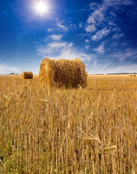 Yığın alanı — Stok fotoğraf