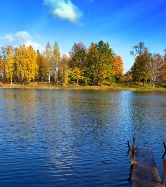 A madeira de outono brilhante reflete-se no lago — Fotografia de Stock