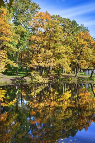 Bright tree in autumn park — Stock Photo, Image
