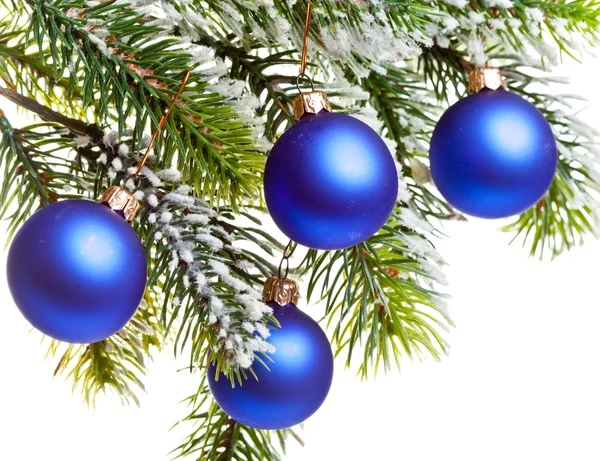 Bolas de Ano Novo azul escuro em um ramo coberto de neve — Fotografia de Stock