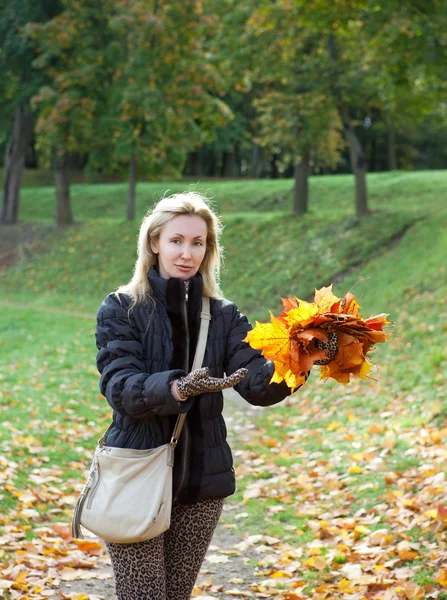 La hermosa mujer en el parque de otoño con un brazo de hojas de arce —  Fotos de Stock