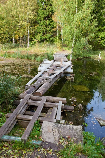 A pequena ponte gasta no parque sobre um pon — Fotografia de Stock
