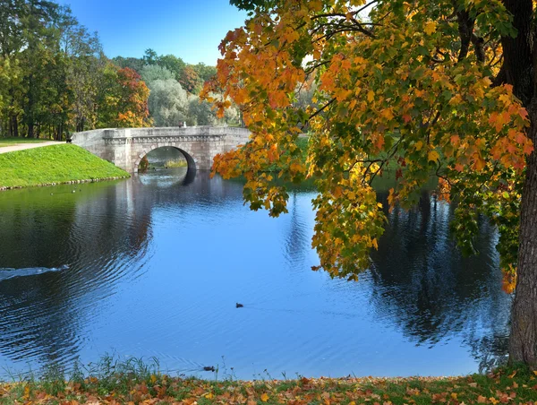 Russia. Saint-Petersburg. Gatchina. Autumn in park — Stock Photo, Image