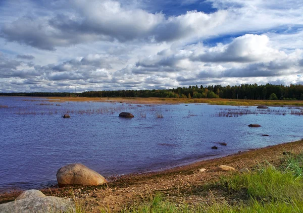 Russland. Sandküste am Golf von Finnland — Stockfoto