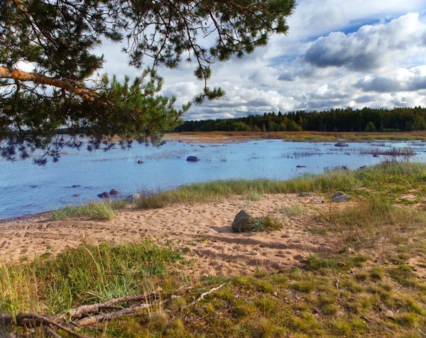 Russland. Sandküste am Golf von Finnland — Stockfoto
