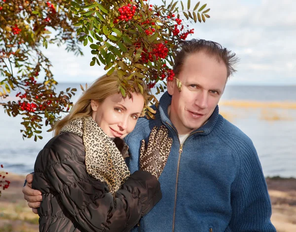 Loving couple at a mountain ash bush — Stock Photo, Image