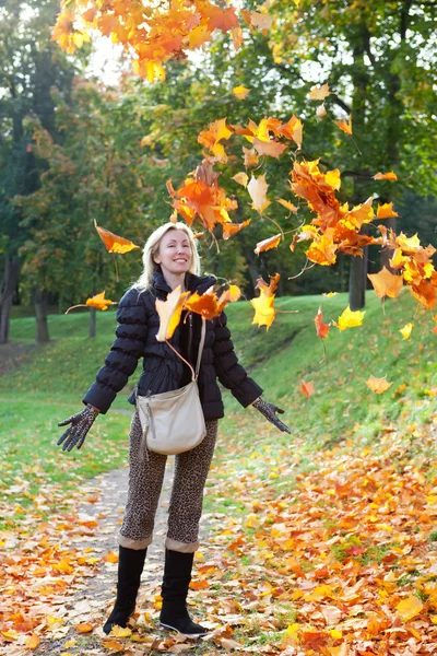 美丽的女人在秋天公园的一大堆的枫树叶子 免版税图库照片