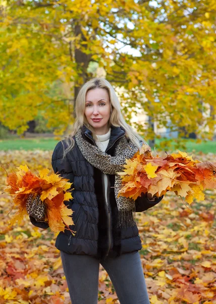 A mulher bonita no parque de outono com um armful das folhas do bordo — Fotografia de Stock