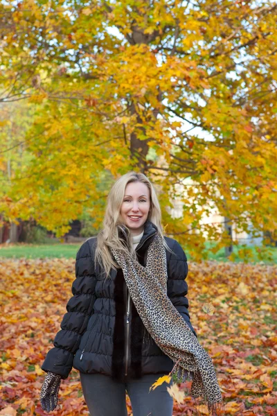 The beautiful woman in autumn park — Stock Photo, Image