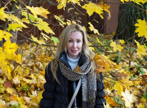 The beautiful woman in autumn park — Stock Photo, Image