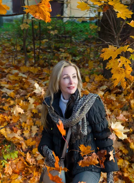 La hermosa mujer en el parque de otoño — Foto de Stock