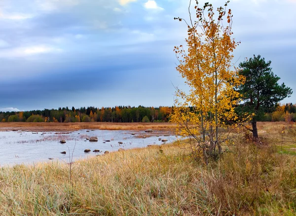 Autumn landscape with the lake — Stock Photo, Image
