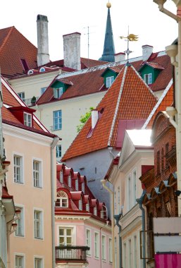 Eski evler eski şehir sokakta. Tallinn. Estonya
