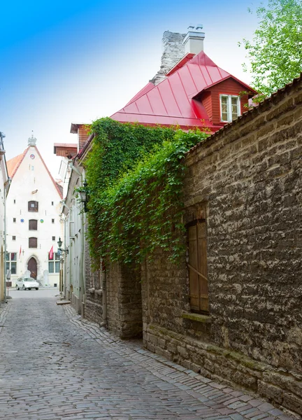 De straten van de oude stad. Tallinn. Estland — Stockfoto