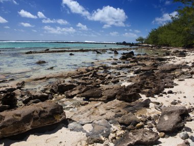 Mauritius. adanın taşlı peyzaj
