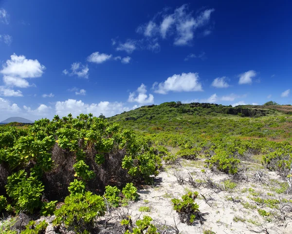 Mauritius, landscape of the island — Stock Photo, Image