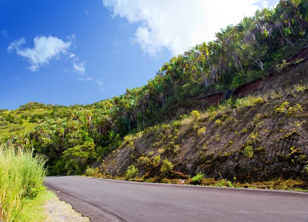 Mauritius. The road in mountains — Stock Photo, Image