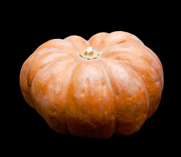 Calabaza fresca — Foto de Stock