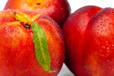 yeşil yaprak üzerinde beyaz bir adam olgun nektarin