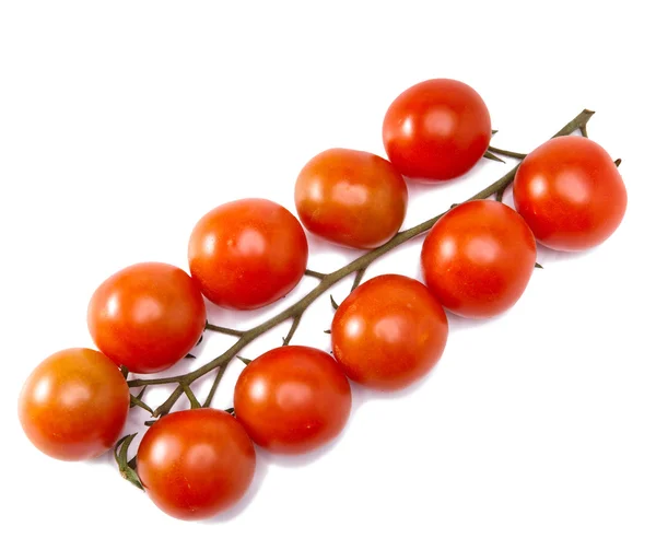 Tomates em um ramo — Fotografia de Stock