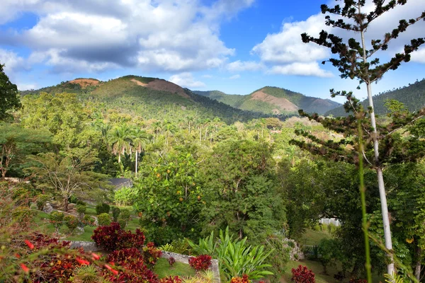 Парк Сороа (Jardin Botanico Orquideario Soroa), Куба — стоковое фото