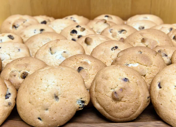 Galletas de galleta con pasas — Foto de Stock