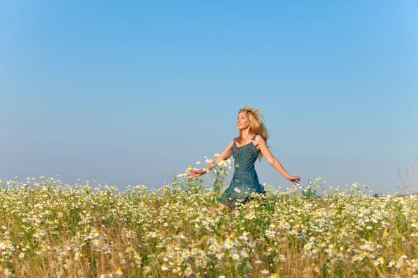 The happy young woman in the field of camomile — Stock Photo, Image