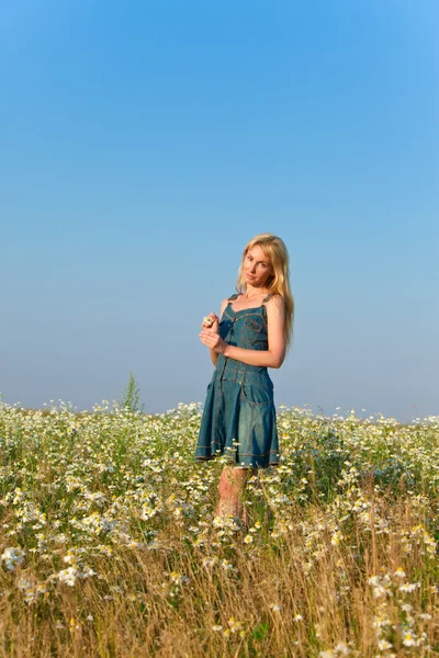 La joven feliz en el campo de la manzanilla —  Fotos de Stock