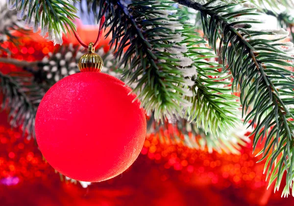 Red New Year 's ball on a branch of a Christmas tre — стоковое фото