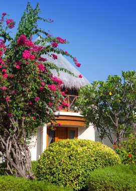 bir bahçe içinde geleneksel tropik kulübe