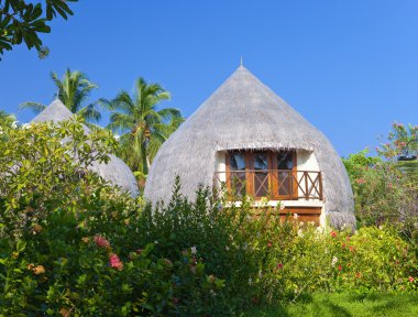 bir bahçe içinde geleneksel tropik kulübe