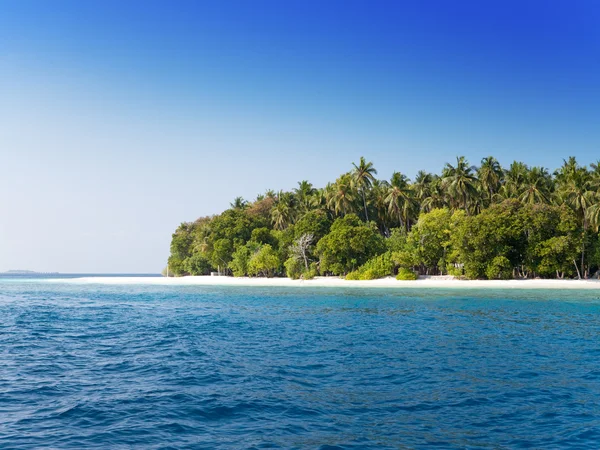 A ilha com palmeiras no oceano — Fotografia de Stock