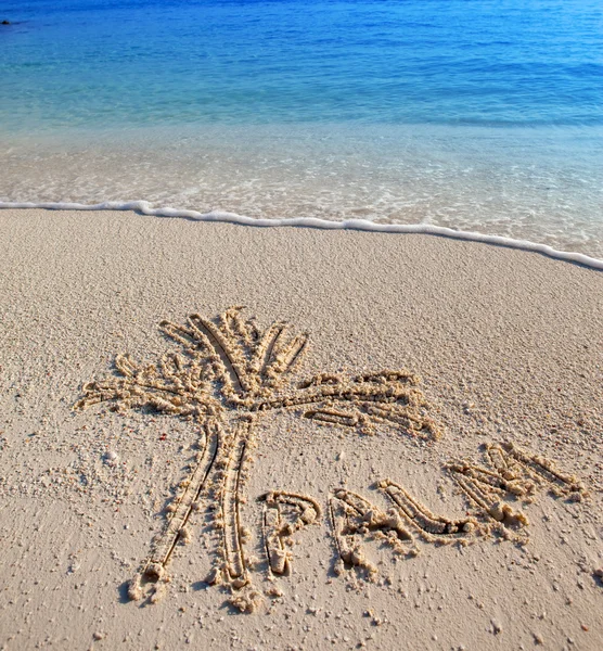 The palm - a picture on sand — Stock Photo, Image