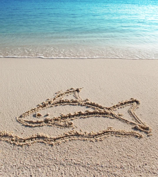 The fish - a picture on sand — Stock Photo, Image