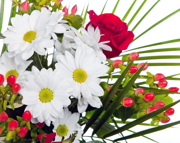 Chamomiles 및 로즈 밝은 꽃다발 — 스톡 사진