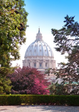 st peter's Bazilikası Vatikan bahçeleri göster