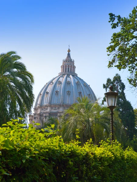 Visa på st peter's basilica från Vatikanen trädgårdar — Stockfoto