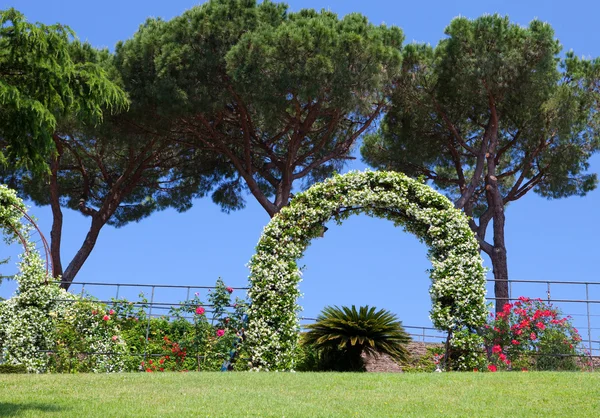 Vatican. A Vatican garden — Stock Photo, Image